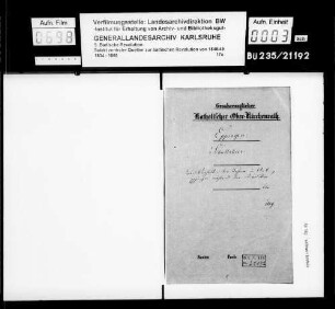 Das Verhalten der Lehrer im Amt Eppingen während der Revolution