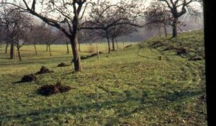 Albershausen