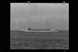 Sea Elbe (1979), H. H. Schütt, Wewelsfleth