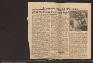 Ausatzfragment "Der Mensch in seinem Verhältnis zur Natur" (Manuskript)