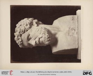 Musée de Naples