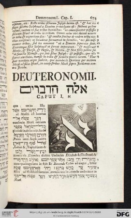 Deuteronomii