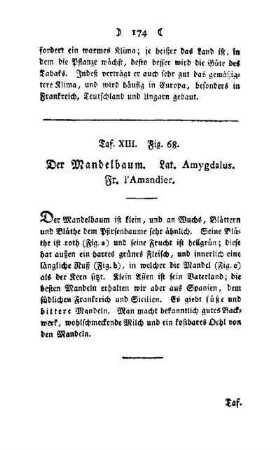 ¬Der¬ Mandelbaum : Taf. XIII, Fig. 68
