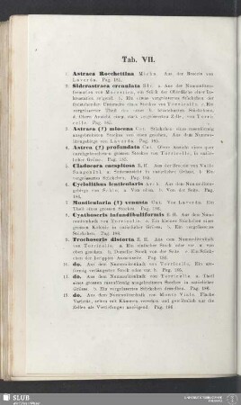 Tab. VII.