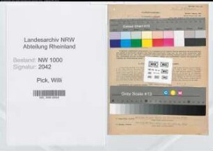 Entnazifizierung Willi Pick, geb. 01.07.1901 (Techniker)