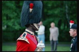 Fotografie: Allied Forces Day Parade in Berlin-Tiergarten