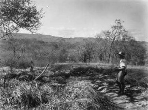 Landschaftsaufnahme : Landschaft im Tendaguru-Gebiet.
