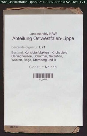 Einkünfte und Besitzungen der Pastorei, Allgemeines (Verzeichnisse)