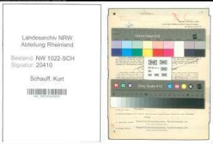 Entnazifizierung Kurt Schauff , geb. 23.11.1910 (Technischer Angestellter)