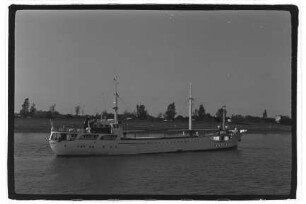Irma Graebe (1964), G. Graebe