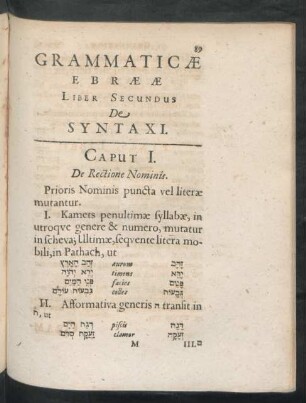 Liber Secundus De Syntaxi