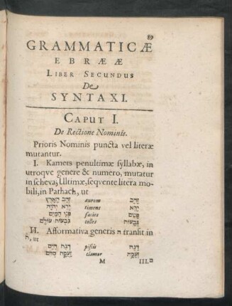 Liber Secundus De Syntaxi