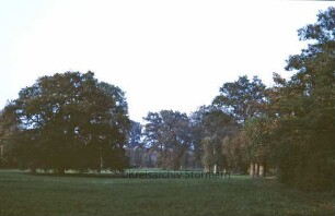 Park: Parterre