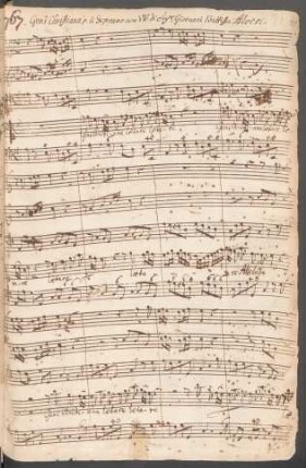 Gens Christiana laetare alleluia; S, strings, bc; a-Moll