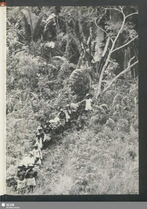 Urwald