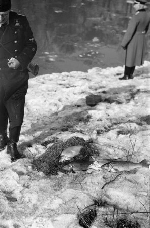 Fische : Zwei Männer in Uniform am zugefrorenen Elsterflusslauf. Im Schnee liegen vermutlich durch Eissprengungen getötete Fische.