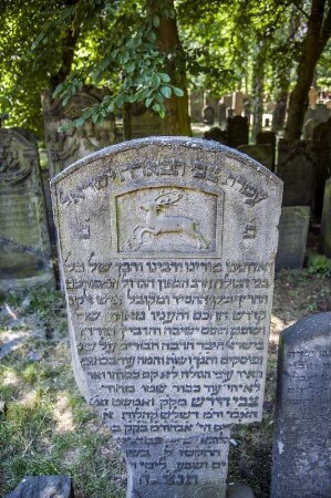 Der Jüdische Friedhof Altona, auch Jüdischer Friedhof Königstraße oder, auf den sephardischen Teil des Friedhofs bezogen, Portugiesenfriedhof an der Königstraße, wurde 1611 angelegt und 1877 geschlossen. Er gilt wegen seiner Größe von 1,9 Hektar, seines Alters und der großen Zahl erhaltener Grabsteine (rund 7600 von 8474, die man bei der Schließung des Friedhofs 1869 gezählt hatte) als eines der bedeutendsten jüdischen Gräberfelder der Welt