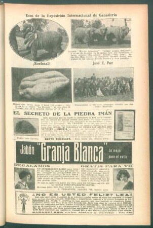 Ecos de la Exposición Internacional de Ganadería