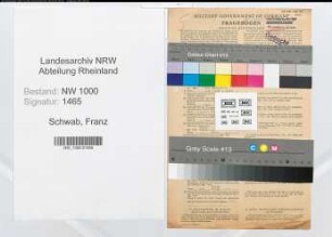 Entnazifizierung Franz Schwab, geb. 06.12.1906 (Handelsvertreter)