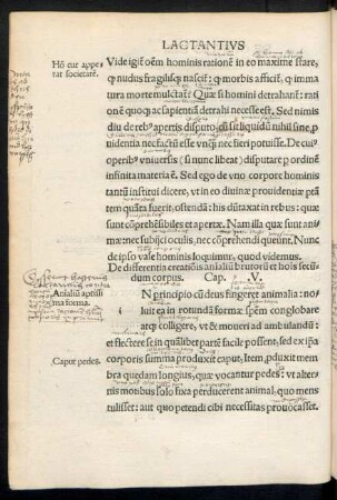 De differentia creationis animalium brutorum et hominis secundum corpus. Cap. .V.