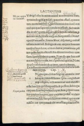 De differentia creationis animalium brutorum et hominis secundum corpus. Cap. .V.