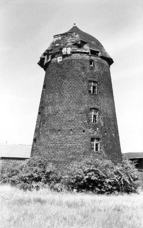 Elbe-Parey-Ferchland. Turmholländer