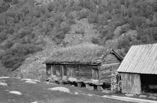 Haus mit Grasdach