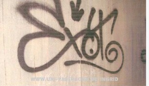Exot