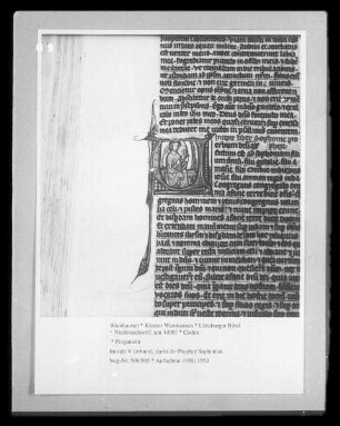 Lüneburger Bibel — Initiale V (erbum), darin der Prophet Sophonias