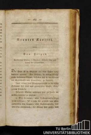 Neuntes Kapitel. Von Feigen.