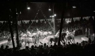 Zirkus Sarrasani, Hannover, 1972