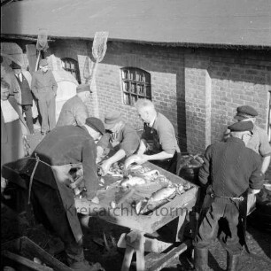 Abfischen: vor altem Fischhaus: Fischer beim Sortieren der Fische, Holztisch, Holzbottich: hinten links Zuschauer, Kescher lehnen an Hauswand, 8. Oktober 1951