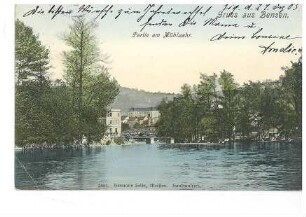 Partie am Mühlwehr in Bensen