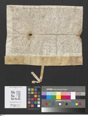 Wattenheim: Hans Wetzel zu Wattenheim bekannt, dass Wolfgang Graff, Kanonikus v. St. Andreas zu Worms ihm 100 fl. geliehen