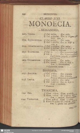 Classis XXI. Monoecia