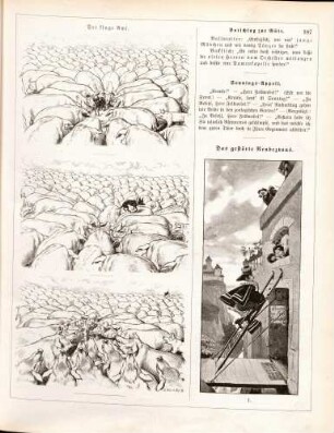 "Der kluge Ami" "Das gestörte Rendezvous"