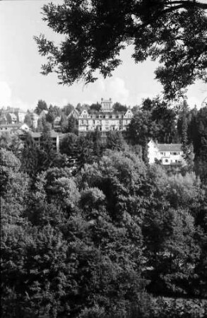 Baden-Baden: Bergschloss, von gegenüberliegender Talseite