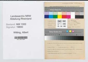 Entnazifizierung Albert Witting, geb. 05.10.1896 (Zollsekretaer)