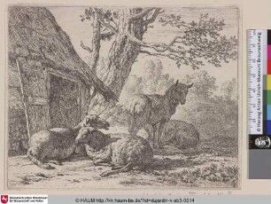 [The four Sheep; Four Sheep; Les quatre mountons; Vier Schafe]