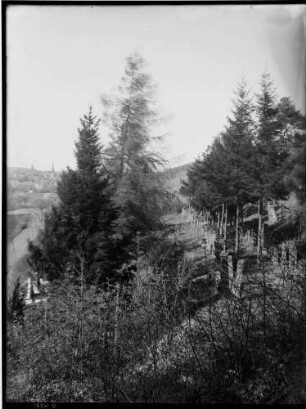 Oberöwisheim Judenfriedhof Gesamtansicht