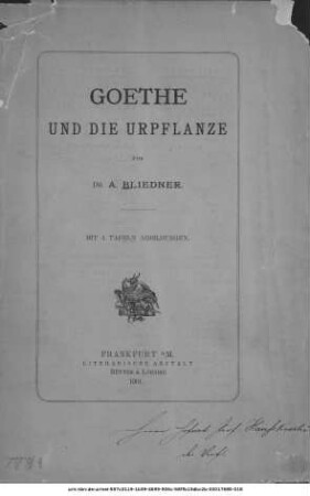 Goethe und die Urpflanze