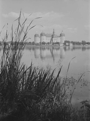 Moritzburg. Blick zum Schloß