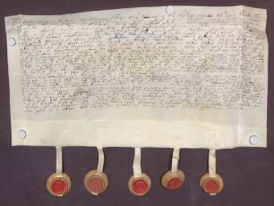 Instrumentum probationis des Johann Ferdinand von Rollingen.