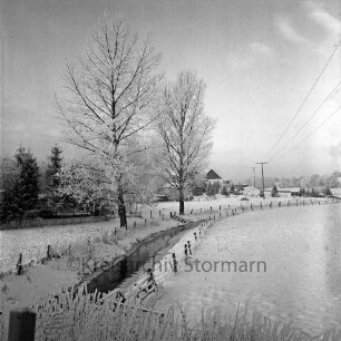Norderbeste: Zaunpfähle an Uferböschung: hinten links Bäume: rechts Strommast: im Hintergrund Häuser: Winter