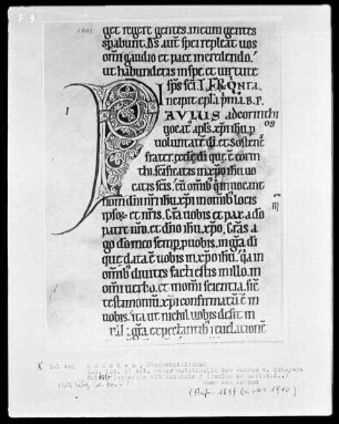 Liber matutinalis des Konrad von Scheyern — Initiale P(aulus ad Corinthi), Folio 101verso