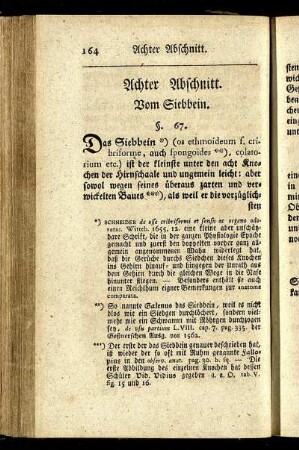 Achter Abschnitt. Vom Siebbein.