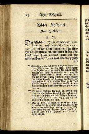 Achter Abschnitt. Vom Siebbein.