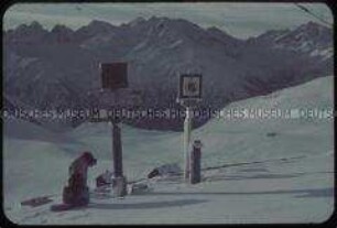 Bernhardiner vor verschneiter Gebirgslandschaft