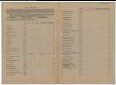 Entnazifizierung Amanda Schueler, geb. 10.04.1900 (Kauffrau)
