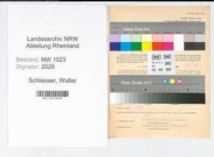 Entnazifizierung Walter Schliesser , geb. 01.01.1900 (Bankbuchhalter)